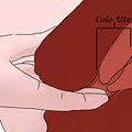 colo-uterino.jpg