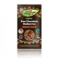the-raw-chocolate-co-snack-de-moras-con-chocolate-28g-1-17619_thumb_434x533.png