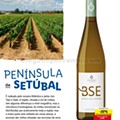 Folheto-Bebidas-de-Verao-A-partir-de-13-07-04_page-0016.jpg
