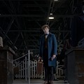 fantasticbeasts.jpg
