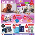 01 clarel 13 a 26 fevereiro p1.jpg