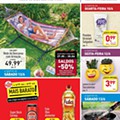 Antevisão Folheto ALDI Promoções de 10 a 16 junho p1.jpg