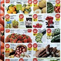 folheto pingo doce 28 abril a 4 maio_8.jpg
