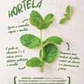 Revista-Mais-pre-verao-A-partir-de-17-05-03