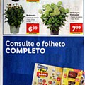 antevisão-folheto-lidl-8-a-14-agosto_last.jpg