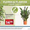 plantas_Novidades-A-partir-de-05-09-01-09.jpg
