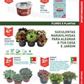 Aldi Folheto 7 a 13 julho