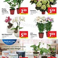 Antevisão Folheto Lidl Promoções de 21 a 27 junho