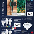 Antevisão Folheto Lidl Promoções de 21 a 27 junho