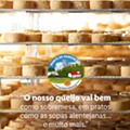 Lidl Mais Verão