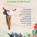 Lidl Especial Sol Praia Verão