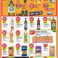 Antevisão Folheto PINGO DOCE Promoções de 2 a 8 novembro