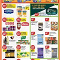 Antevisão Folheto PINGO DOCE Promoções de 2 a 8 novembro