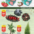 Aldi 24 a 30 novembro