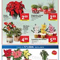 Lidl Edição Digital 29 novembro a 5 dezembro