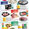 Auchan Feira Bebé