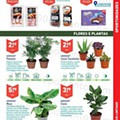 Aldi 21 a 27 julho