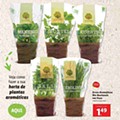 Extra LIDL Folheto Bio 19 a 25 julho