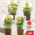 Bio LIDL 26 julho