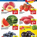 Lidl Folheto 19 a 25 julho