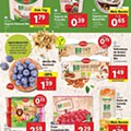 Lidl Folheto 19 a 25 julho