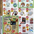 Antevisão FOlheto PINGO DOCE 20 a 26 julho