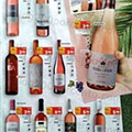 Vinhos e Aperitivos de Verão