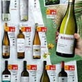 Vinhos e Aperitivos de Verão