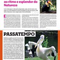 Auchan Saúde e Bem Estar Regresso