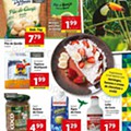 Antevisão Folheto LIDL 30 agosto a 5 setembro