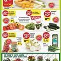 Lojas Pequenas 3 a 9 agosto Pingo Doce