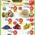 Lojas Pequenas 3 a 9 agosto Pingo Doce
