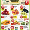 Pingo Doce Madeira 3 a 9 agosto