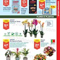 Aldi 22 a 28 setembr