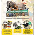 Antevisão Folheto AUCHAN 8 a 21 setembro