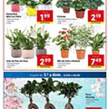 LIDL 20 a 26 setembro digital