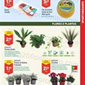 Aldi 15 a 21 setembro