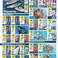 Bom Dia 14 a 20 setembro