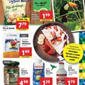 Folheto LIDL Brasil