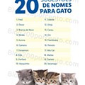 Antevisão FOlheto LIDL Pets a partir de 30 setembro
