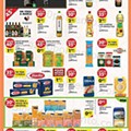 Pingo Doce Lojas Médias 25 a 31 janeiro