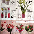 Antevisão Folheto Lidl Promoções de 7 a 13 fevereiro