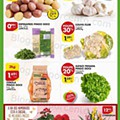 Antevisão Folheto PINGO DOCE Lojas Grandes Promoções de 1 a 7 fevereiro