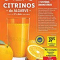Lidl Ediçãi Digital 31 janeiro a 5 fevereiro