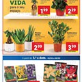 Lidl Ediçãi Digital 31 janeiro a 5 fevereiro