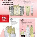 Antevisão Folheto WELLS Natal Promoções até 31 dezembro