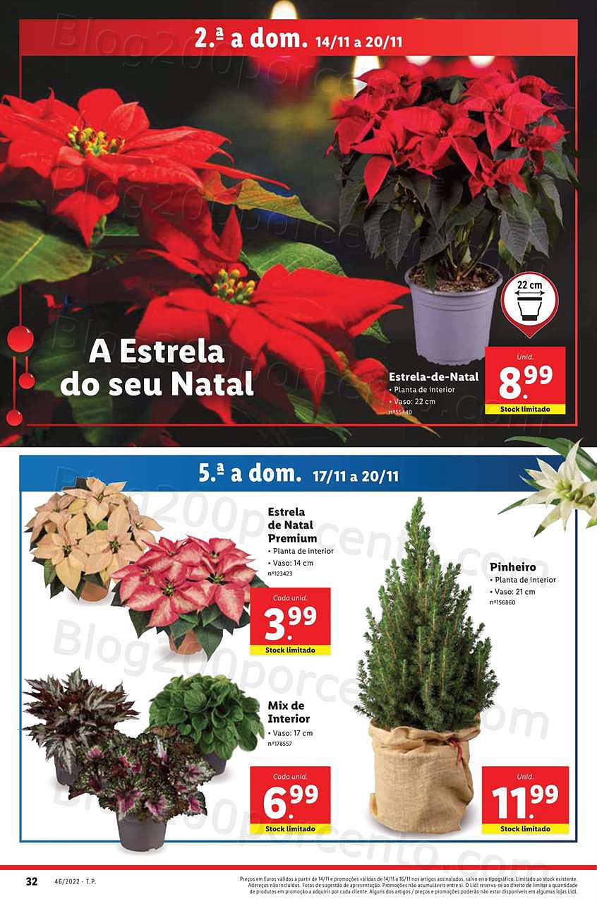 Antevisão Folheto LIDL Mercado de Plantas Promoções de 14 a 20 novembro