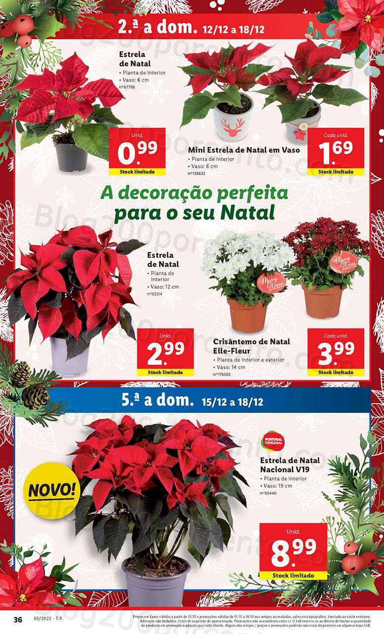Antevisão Folheto LIDL Mercado de Plantas Promoções de 12 a 18 dezembro