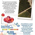 Antevisão Folheto LIDL Aberturas Porto - Rotunda AEP Promoções até 11 dezembro