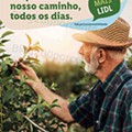 Antevisão Folheto LIDL Aberturas Porto - Rotunda AEP Promoções até 11 dezembro